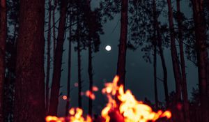 Preview wallpaper bonfire, moon, forest, sparks
