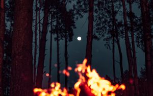 Preview wallpaper bonfire, moon, forest, sparks