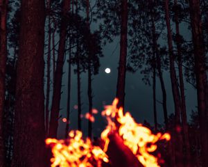 Preview wallpaper bonfire, moon, forest, sparks