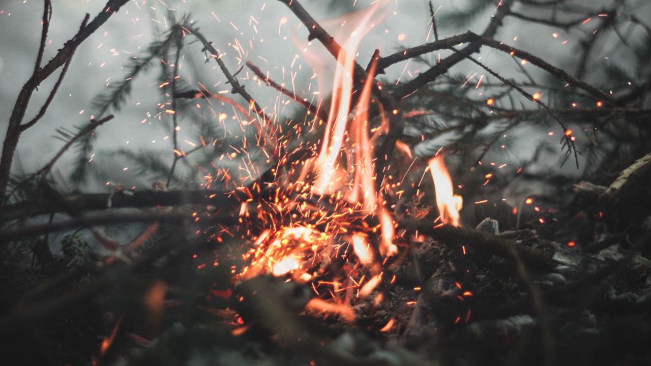 Wallpaper bonfire, sparks, fire, branches, blur