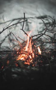 Preview wallpaper bonfire, sparks, fire, branches, blur