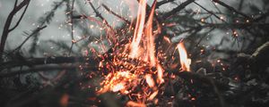 Preview wallpaper bonfire, sparks, fire, branches, blur
