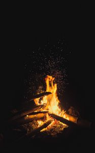 Preview wallpaper bonfire, wood, fire, flame, sparks