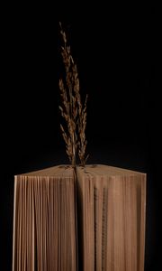 Preview wallpaper book, branch, dark