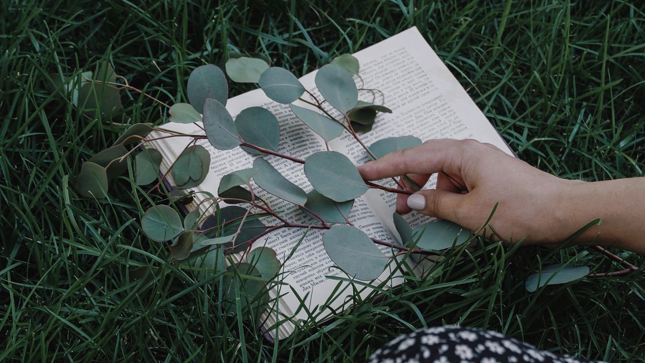 Wallpaper book, branch, hand, grass, lawn