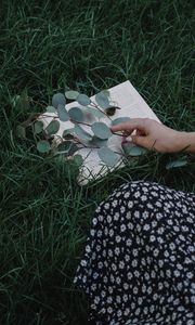 Preview wallpaper book, branch, hand, grass, lawn