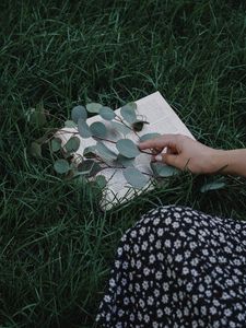 Preview wallpaper book, branch, hand, grass, lawn