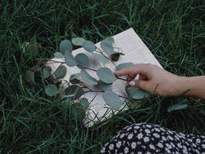 Preview wallpaper book, branch, hand, grass, lawn