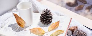 Preview wallpaper book, cones, leaves, herbarium, aesthetics