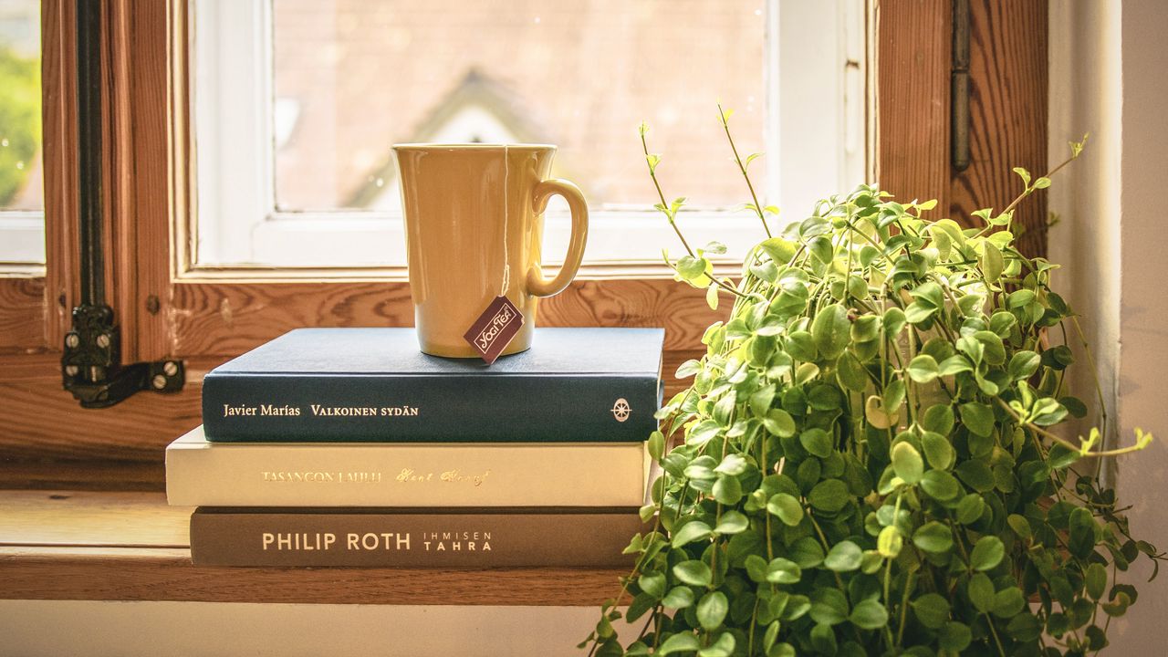 Wallpaper book, cup, tea, window sill, window, houseplant