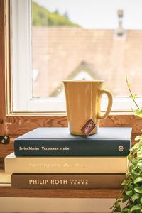 Preview wallpaper book, cup, tea, window sill, window, houseplant