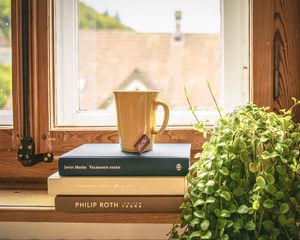 Preview wallpaper book, cup, tea, window sill, window, houseplant