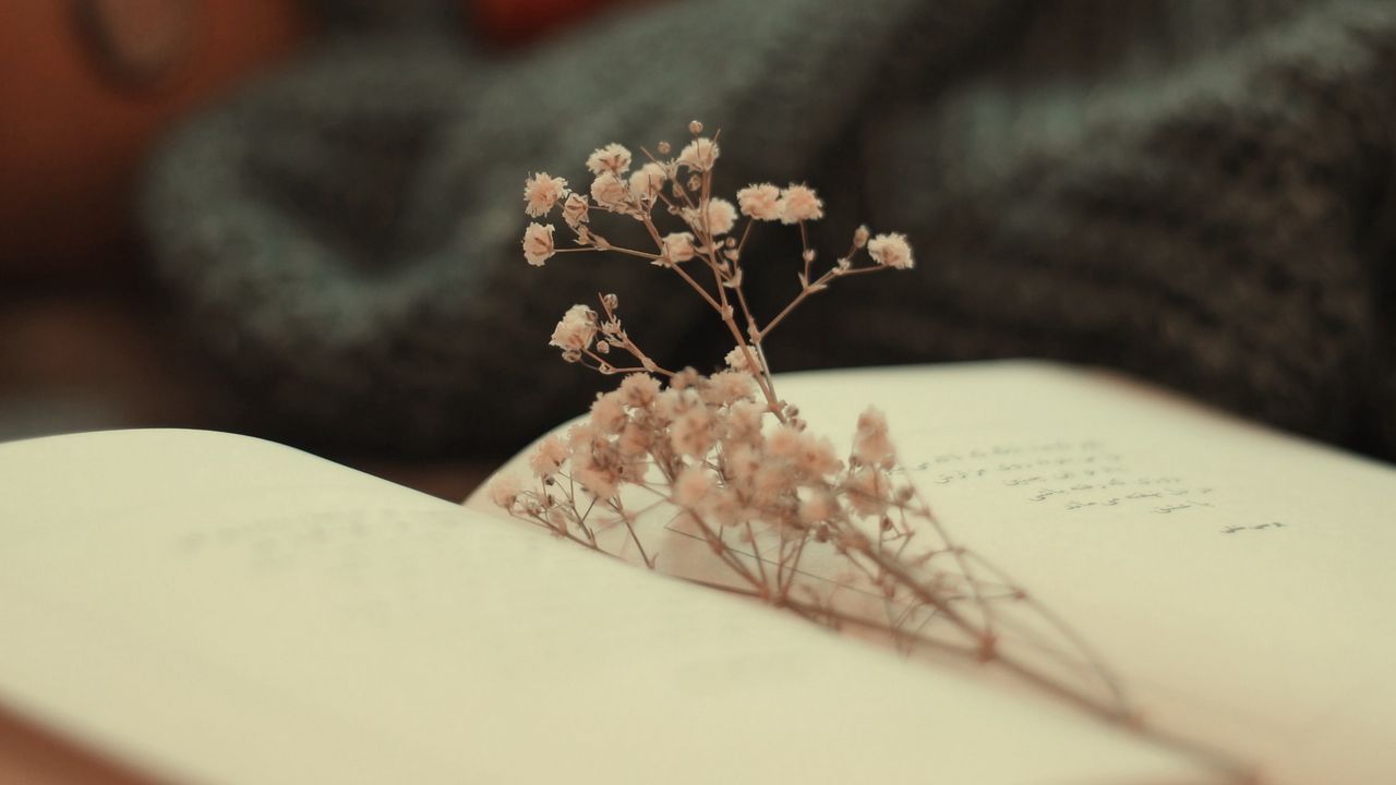 Wallpaper book, dried flowers, pages, flowers