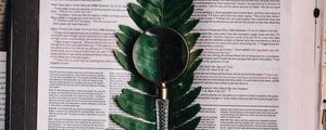 Preview wallpaper book, fern, magnifier, branch, leaf
