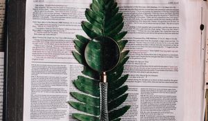 Preview wallpaper book, fern, magnifier, branch, leaf