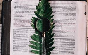 Preview wallpaper book, fern, magnifier, branch, leaf
