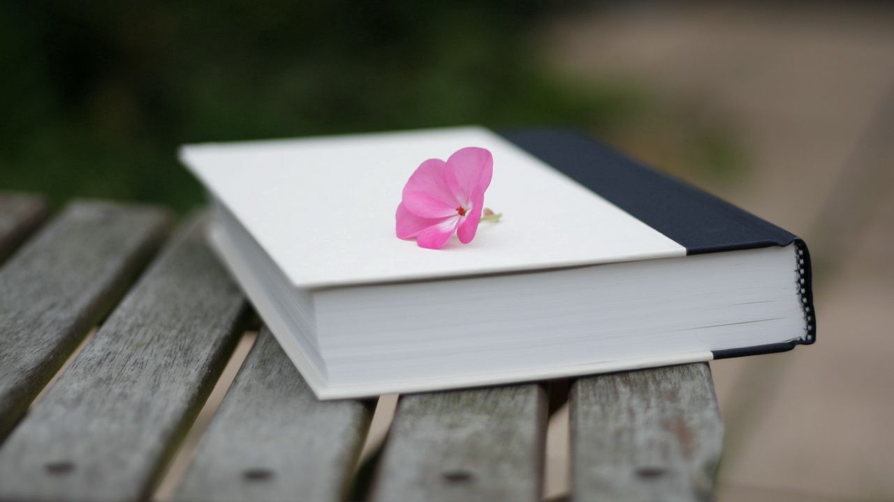 Wallpaper book, flower, beautiful, bench, blur