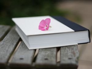 Preview wallpaper book, flower, beautiful, bench, blur