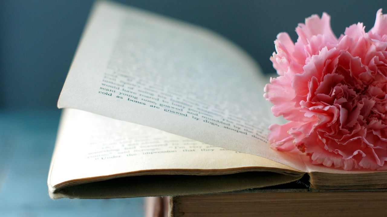 Wallpaper book, flower, bookmark, page