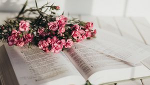 Preview wallpaper book, flowers, bouquet, pink