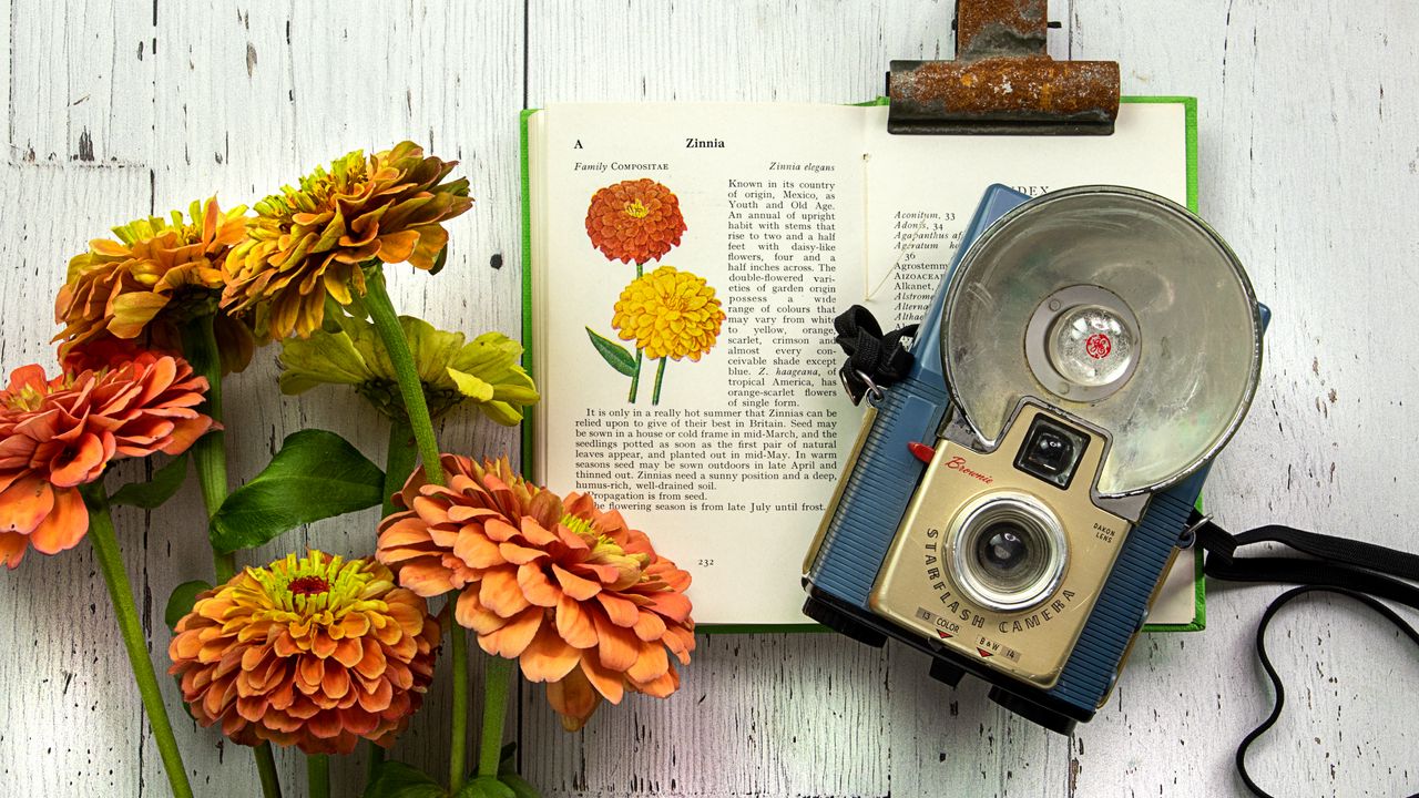 Wallpaper book, flowers, camera, aesthetics, vintage