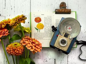 Preview wallpaper book, flowers, camera, aesthetics, vintage