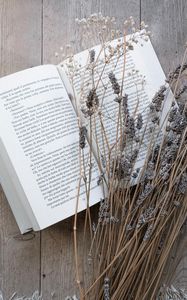 Preview wallpaper book, flowers, dried flower, wooden