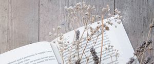 Preview wallpaper book, flowers, dried flower, wooden