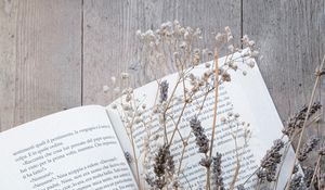 Preview wallpaper book, flowers, dried flower, wooden