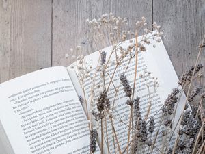 Preview wallpaper book, flowers, dried flower, wooden