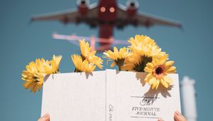 Preview wallpaper book, flowers, hands, reading, plane