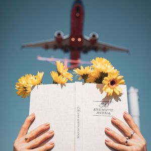 Preview wallpaper book, flowers, hands, reading, plane