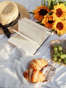 Preview wallpaper book, hat, croissant, picnic