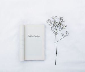 Preview wallpaper book, inscription, words, flower, white, minimalism