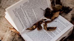 Preview wallpaper book, laptop, leaves, dry, autumn, aesthetics