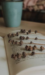 Preview wallpaper book, lavender, herbarium, plant, dry