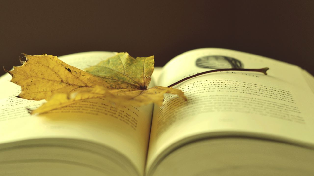 Wallpaper book, leaf, autumn, laying