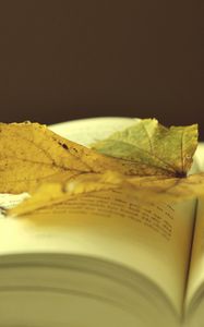 Preview wallpaper book, leaf, autumn, laying