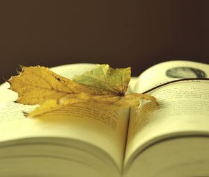 Preview wallpaper book, leaf, autumn, laying