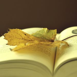 Preview wallpaper book, leaf, autumn, laying