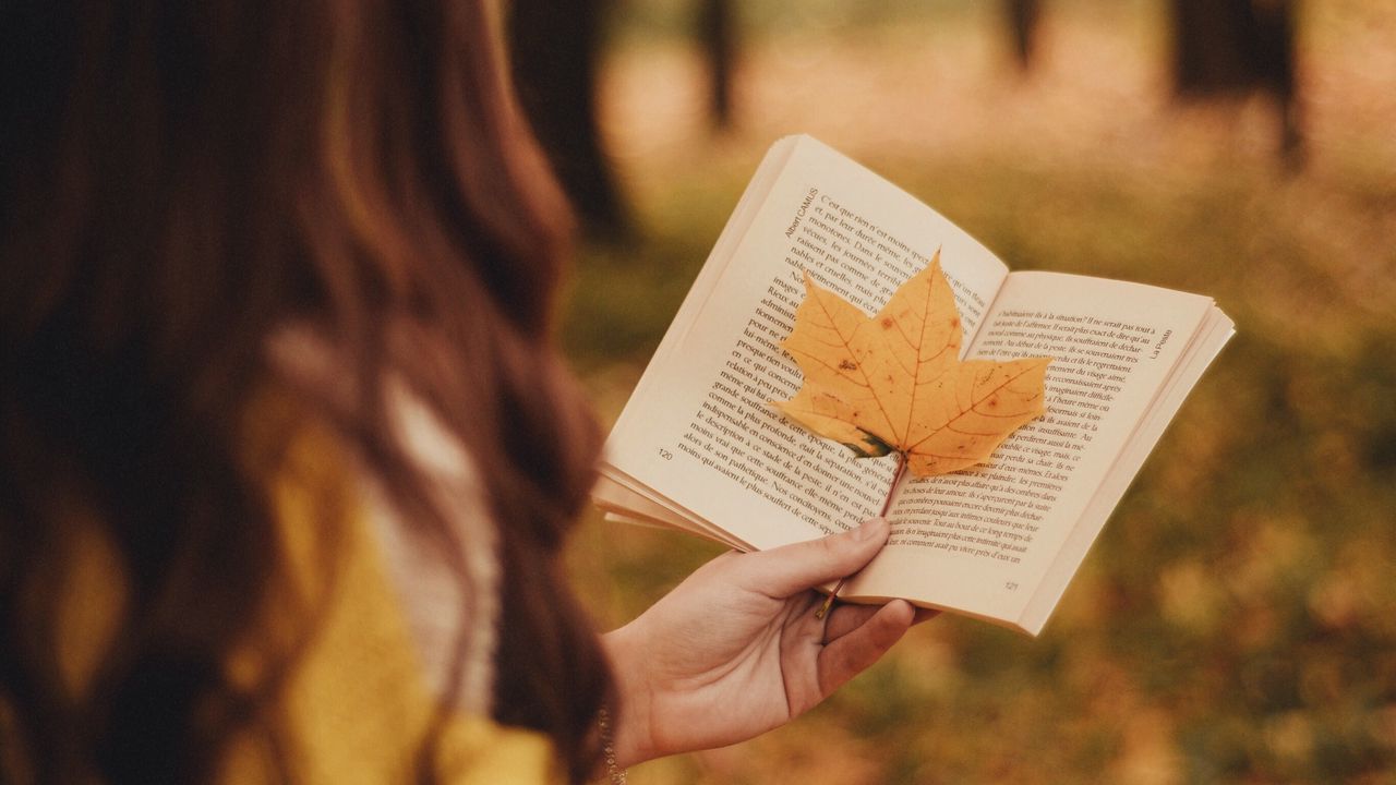 Wallpaper book, leaf, hand, autumn, blur