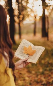 Preview wallpaper book, leaf, hand, autumn, blur