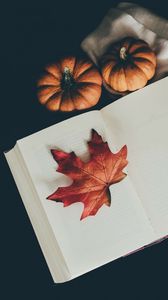 Preview wallpaper book, leaf, pumpkin, scarf, autumn