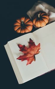 Preview wallpaper book, leaf, pumpkin, scarf, autumn