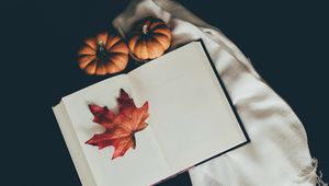 Preview wallpaper book, leaf, pumpkin, scarf, autumn