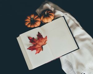 Preview wallpaper book, leaf, pumpkin, scarf, autumn