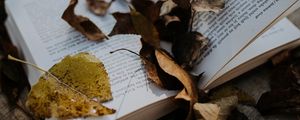 Preview wallpaper book, leaves, autumn