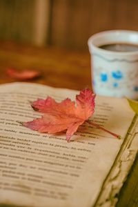 Preview wallpaper book, leaves, cup, autumn, comfort, reading, coffee