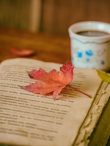 Preview wallpaper book, leaves, cup, autumn, comfort, reading, coffee