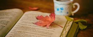 Preview wallpaper book, leaves, cup, autumn, comfort, reading, coffee